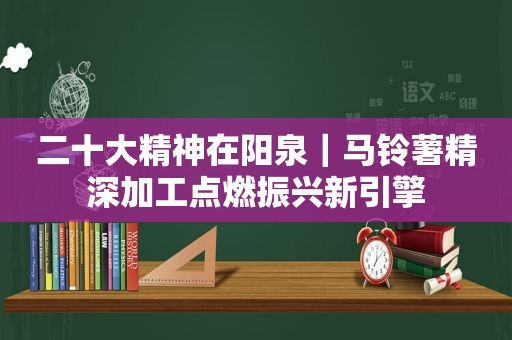 二十大精神在阳泉｜马铃薯精深加工点燃振兴新引擎