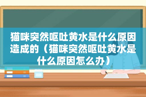 猫咪突然呕吐黄水是什么原因造成的（猫咪突然呕吐黄水是什么原因怎么办）