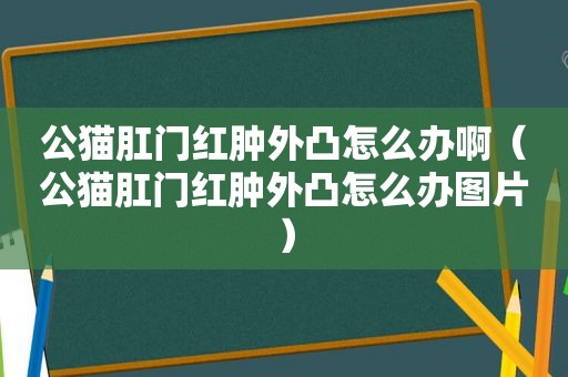 公猫 *** 红肿外凸怎么办啊（公猫 *** 红肿外凸怎么办图片）