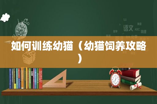 如何训练幼猫（幼猫饲养攻略）