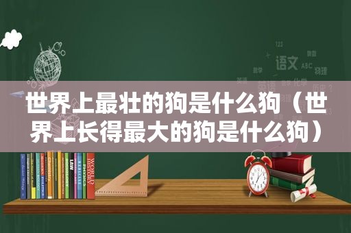 世界上最壮的狗是什么狗（世界上长得最大的狗是什么狗）