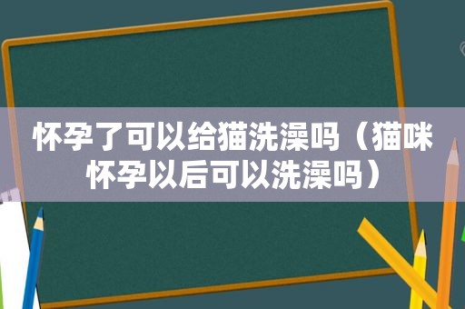 怀孕了可以给猫洗澡吗（猫咪怀孕以后可以洗澡吗）