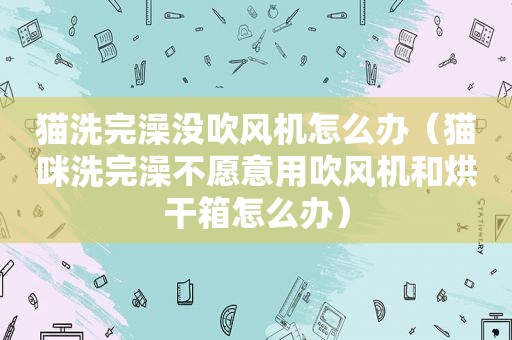 猫洗完澡没吹风机怎么办（猫咪洗完澡不愿意用吹风机和烘干箱怎么办）