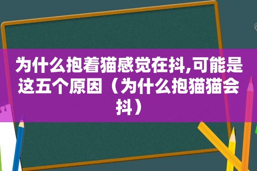 为什么抱着猫感觉在抖,可能是这五个原因（为什么抱猫猫会抖）