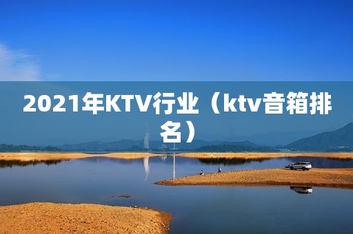 2021年KTV行业（ktv音箱排名）