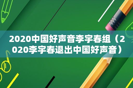 2020中国好声音李宇春组（2020李宇春退出中国好声音）