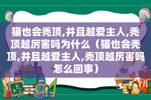 猫也会秃顶,并且越爱主人,秃顶越厉害吗为什么（猫也会秃顶,并且越爱主人,秃顶越厉害吗怎么回事）