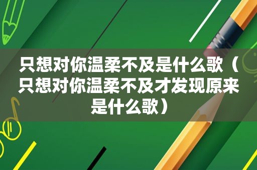 只想对你温柔不及是什么歌（只想对你温柔不及才发现原来是什么歌）