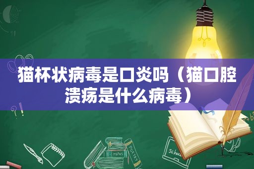 猫杯状病毒是口炎吗（猫口腔溃疡是什么病毒）