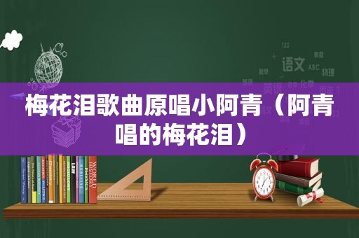 梅花泪歌曲原唱小阿青（阿青唱的梅花泪）