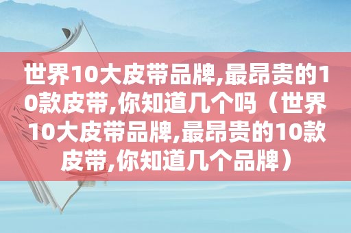 世界10大皮带品牌,最昂贵的10款皮带,你知道几个吗（世界10大皮带品牌,最昂贵的10款皮带,你知道几个品牌）