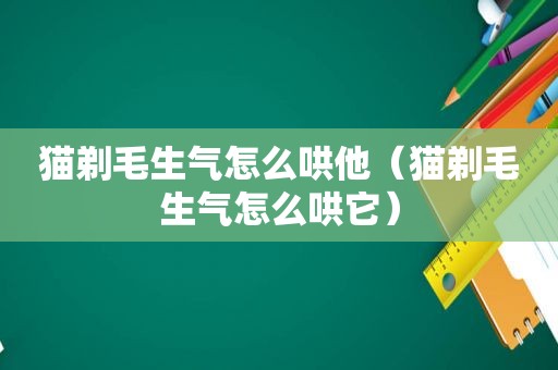 猫剃毛生气怎么哄他（猫剃毛生气怎么哄它）