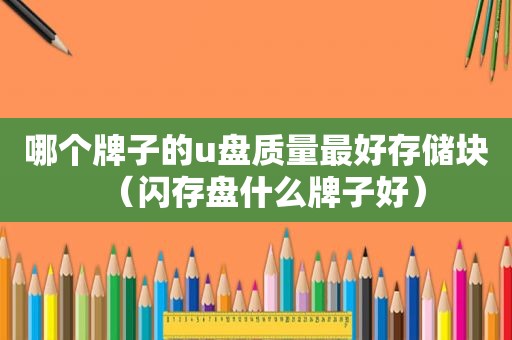 哪个牌子的u盘质量最好存储块（闪存盘什么牌子好）