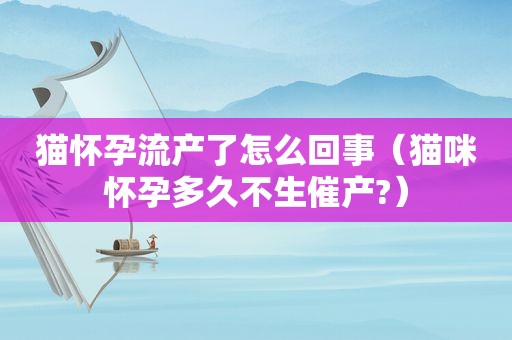 猫怀孕流产了怎么回事（猫咪怀孕多久不生催产?）