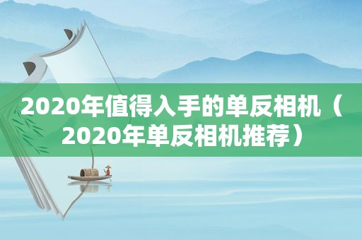 2020年值得入手的单反相机（2020年单反相机推荐）