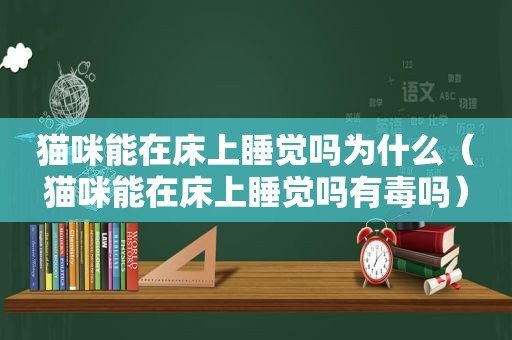 猫咪能在床上睡觉吗为什么（猫咪能在床上睡觉吗有毒吗）