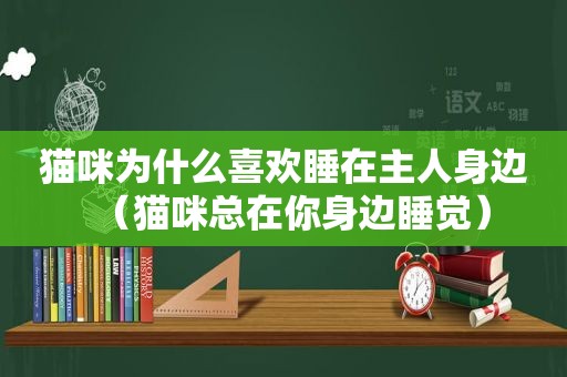 猫咪为什么喜欢睡在主人身边（猫咪总在你身边睡觉）