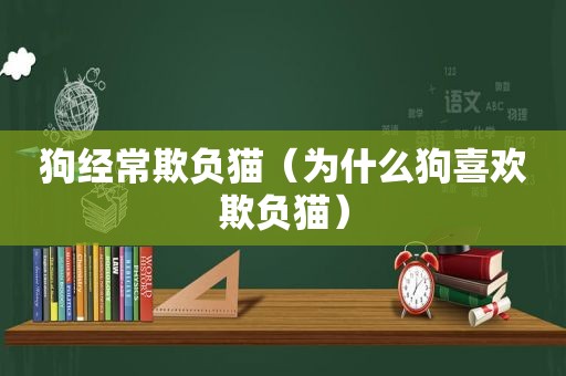 狗经常欺负猫（为什么狗喜欢欺负猫）