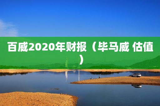 百威2020年财报（毕马威 估值）