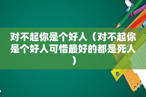 对不起你是个好人（对不起你是个好人可惜最好的都是死人）