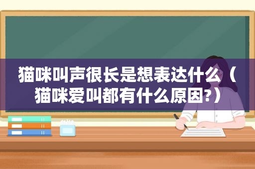 猫咪叫声很长是想表达什么（猫咪爱叫都有什么原因?）