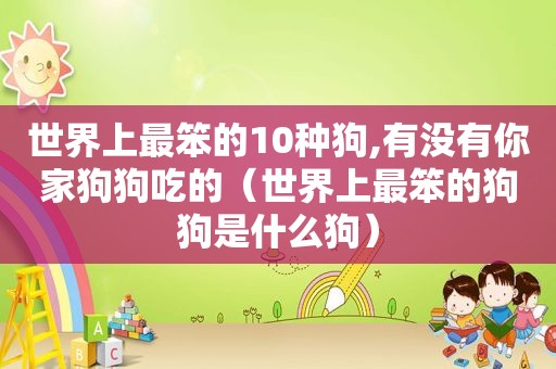 世界上最笨的10种狗,有没有你家狗狗吃的（世界上最笨的狗狗是什么狗）