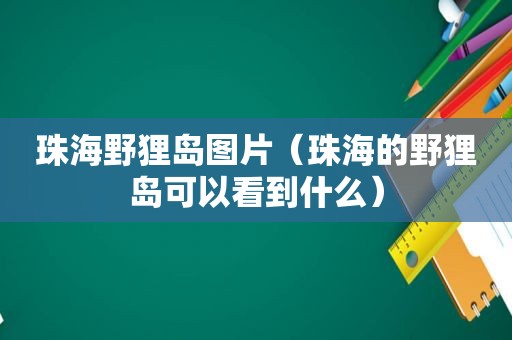 珠海野狸岛图片（珠海的野狸岛可以看到什么）