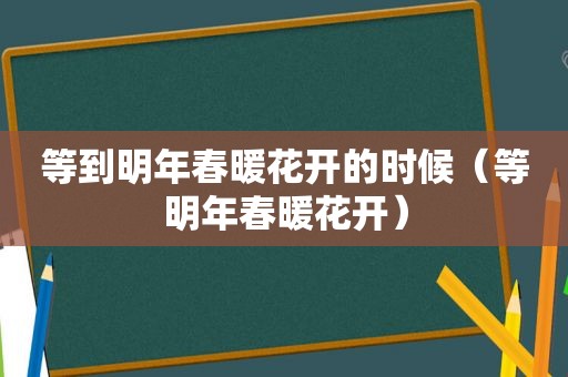 等到明年春暖花开的时候（等明年春暖花开）