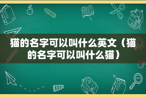 猫的名字可以叫什么英文（猫的名字可以叫什么猫）