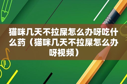 猫咪几天不拉屎怎么办呀吃什么药（猫咪几天不拉屎怎么办呀视频）