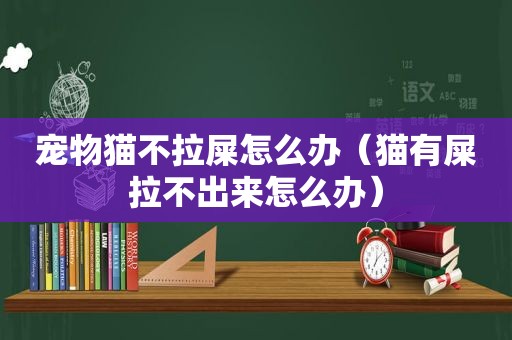 宠物猫不拉屎怎么办（猫有屎拉不出来怎么办）