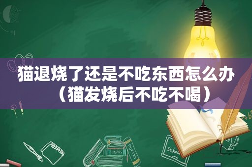 猫退烧了还是不吃东西怎么办（猫发烧后不吃不喝）