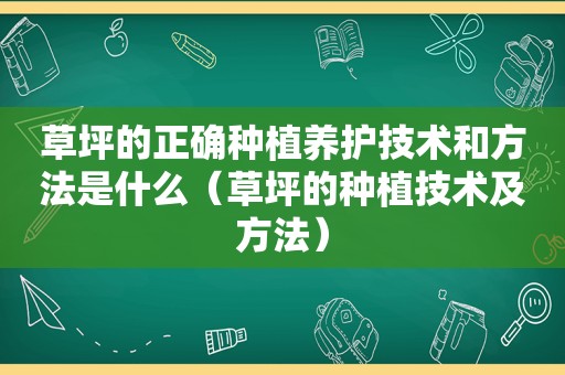 草坪的正确种植养护技术和方法是什么（草坪的种植技术及方法）