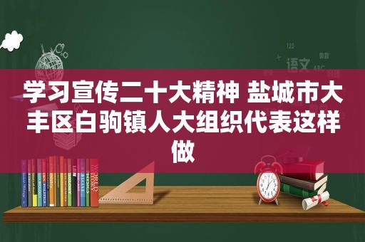 学习宣传二十大精神 盐城市大丰区白驹镇人大组织代表这样做