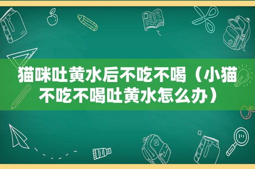 猫咪吐黄水后不吃不喝（小猫不吃不喝吐黄水怎么办）