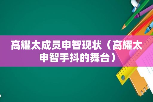 高耀太成员申智现状（高耀太申智手抖的舞台）