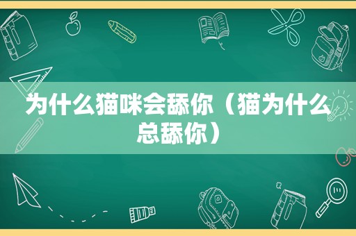 为什么猫咪会舔你（猫为什么总舔你）