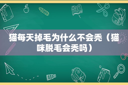 猫每天掉毛为什么不会秃（猫咪脱毛会秃吗）