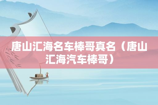 唐山汇海名车棒哥真名（唐山汇海汽车棒哥）