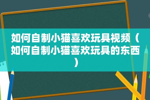 如何自制小猫喜欢玩具视频（如何自制小猫喜欢玩具的东西）