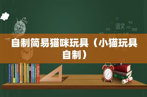 自制简易猫咪玩具（小猫玩具自制）