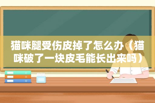 猫咪腿受伤皮掉了怎么办（猫咪破了一块皮毛能长出来吗）