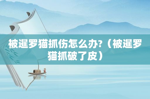 被暹罗猫抓伤怎么办?（被暹罗猫抓破了皮）