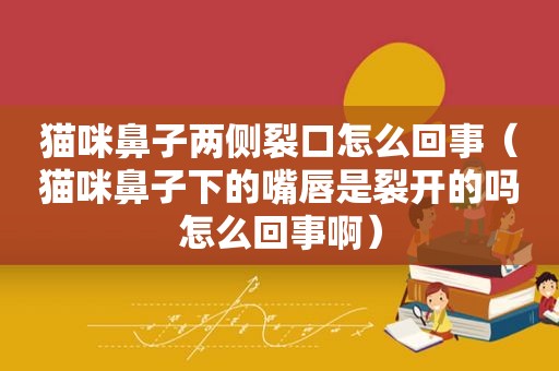 猫咪鼻子两侧裂口怎么回事（猫咪鼻子下的嘴唇是裂开的吗怎么回事啊）