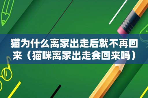 猫为什么离家出走后就不再回来（猫咪离家出走会回来吗）