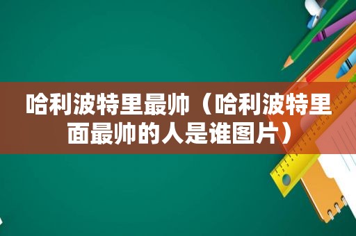 哈利波特里最帅（哈利波特里面最帅的人是谁图片）