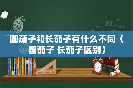 圆茄子和长茄子有什么不同（圆茄子 长茄子区别）