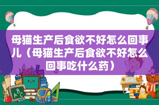 母猫生产后食欲不好怎么回事儿（母猫生产后食欲不好怎么回事吃什么药）