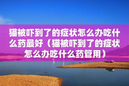 猫被吓到了的症状怎么办吃什么药最好（猫被吓到了的症状怎么办吃什么药管用）