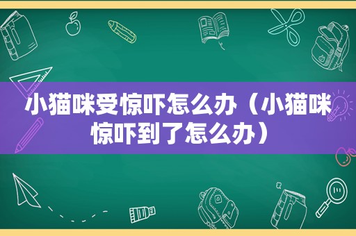 小猫咪受惊吓怎么办（小猫咪惊吓到了怎么办）